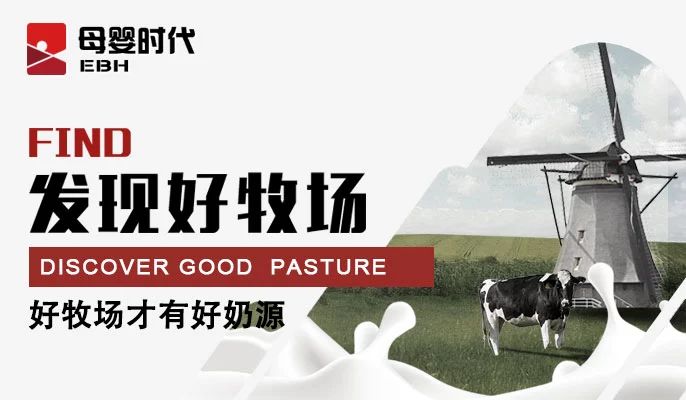 免费91看片网站五年磨一剑，已经站上高速发展的起跑线——陕西之新秀篇