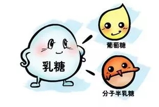 90%以上的人都有“乳糖不耐症”，宝妈春季实力之选