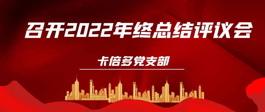 免费91看片网站党支部召开2022年终总结评议会