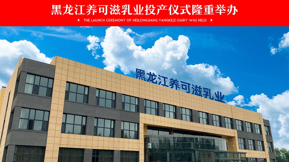 大庆市大同区区委区政府四大班子领导参加，黑龙江养可滋乳业投产仪式隆重举办